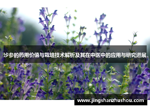 沙参的药用价值与栽培技术解析及其在中医中的应用与研究进展