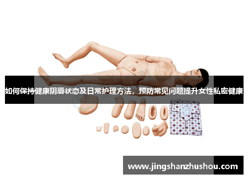 如何保持健康阴唇状态及日常护理方法，预防常见问题提升女性私密健康