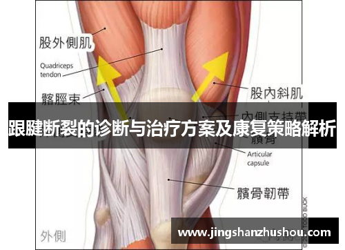 跟腱断裂的诊断与治疗方案及康复策略解析